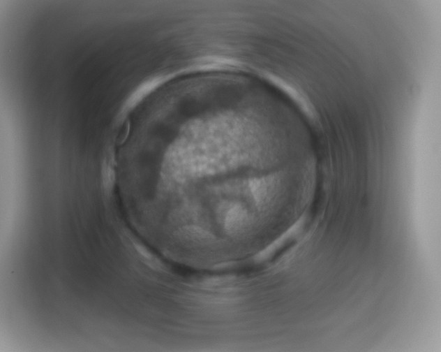 X0000116011363200911251112