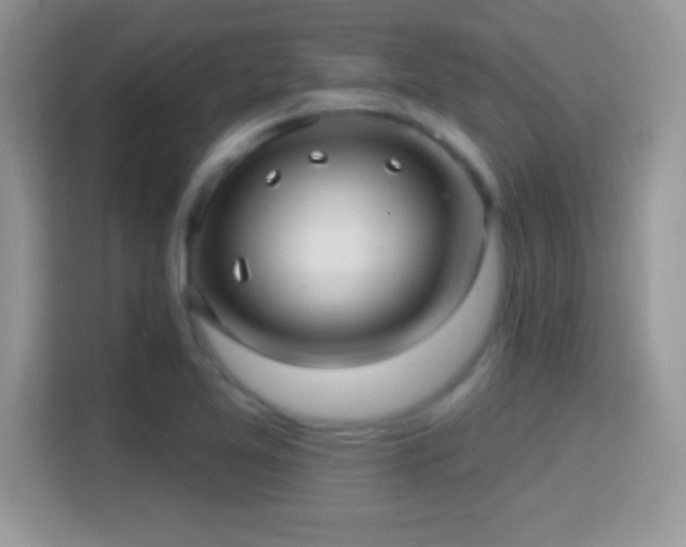 X0000116011365200911251112