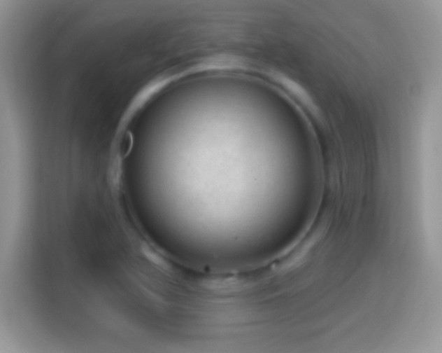 X0000116011366200911251112