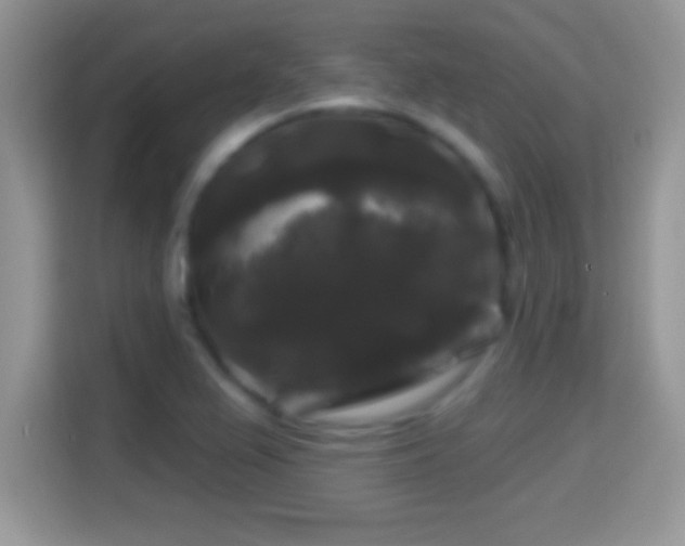X0000116011367200911251112
