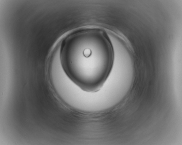 X0000116011368200911251112