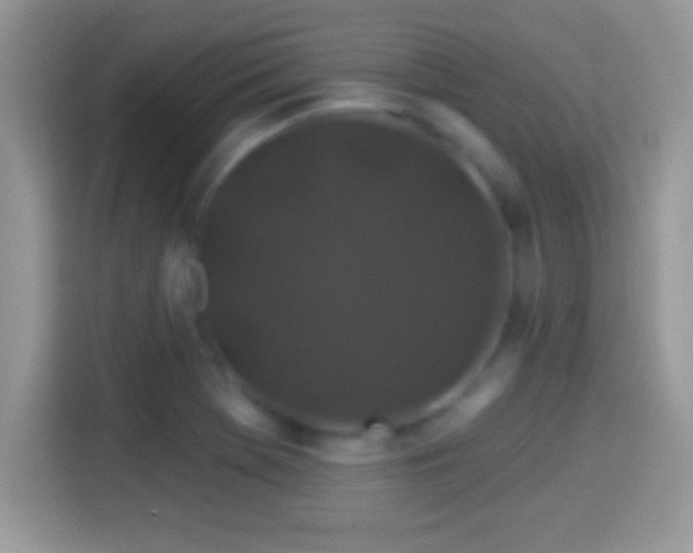 X0000116011369200911251112