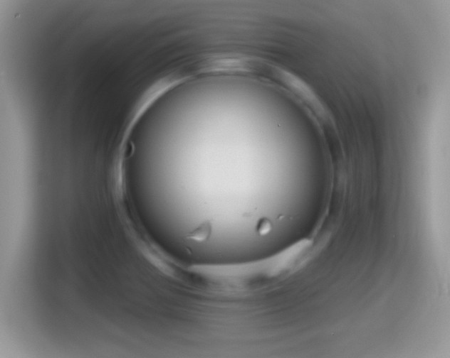 X0000116011370200911251112