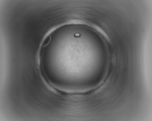 X0000116011372200911251112