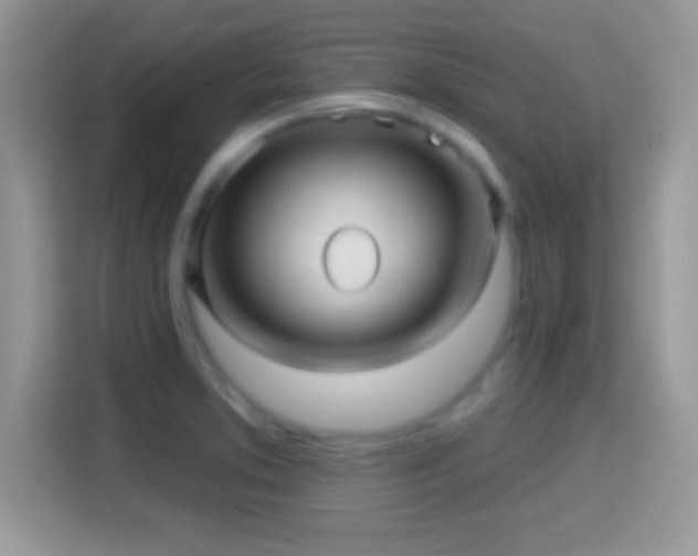 X0000116011373200911251112
