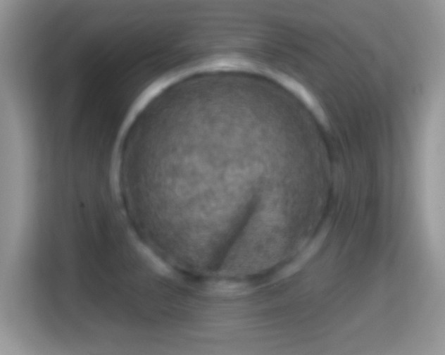 X0000116011374200911251112