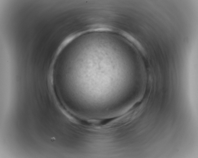 X0000116011375200911251112