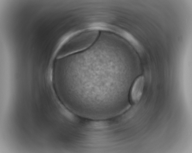 X0000116011376200911251112