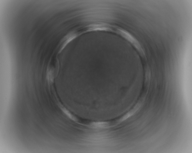 X0000116011377200911251112