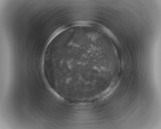X0000116011378200911251112