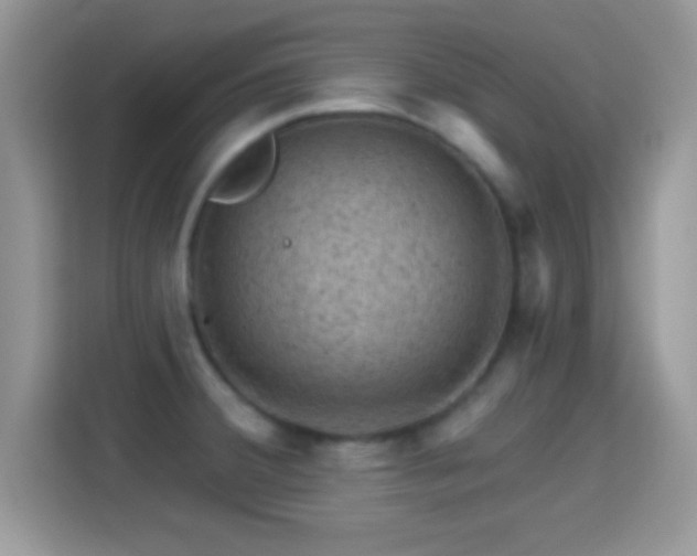 X0000116011380200911251112