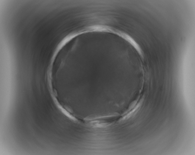 X0000116011381200911251112