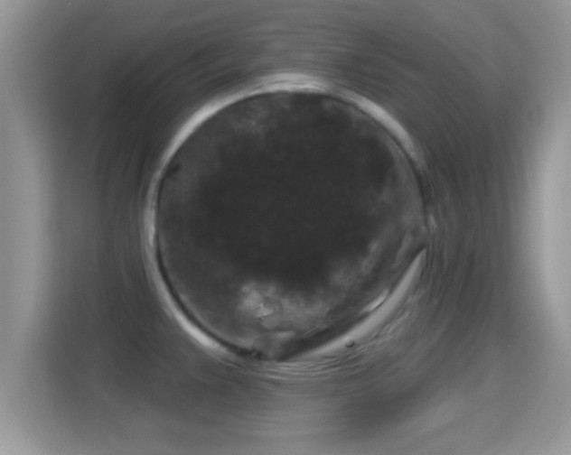 X0000116011383200911251112