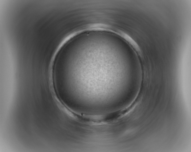 X0000116011384200911251112