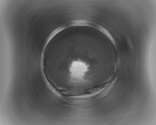 X0000116011386200911251112