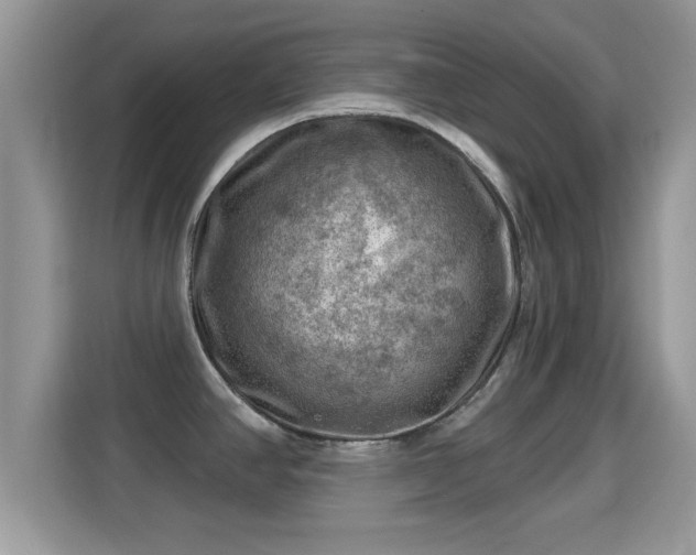 X0000116011390200911251111