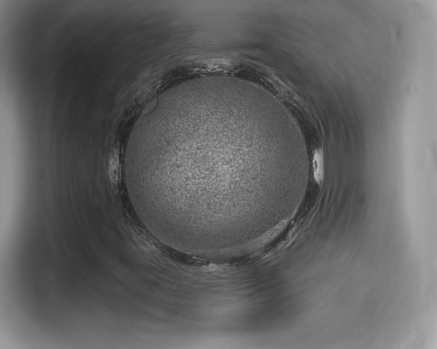 X0000116011395200911251111