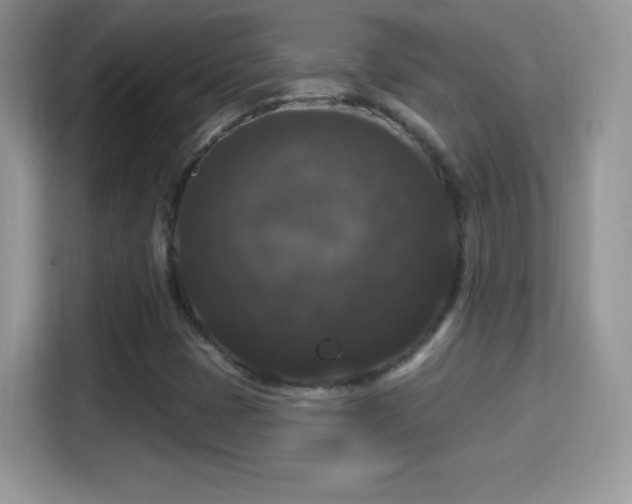 X0000116011401200911251111