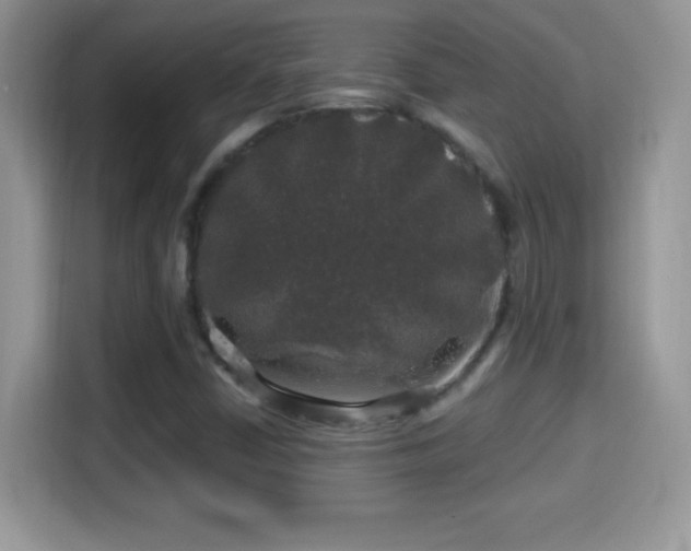 X0000116011402200911251111