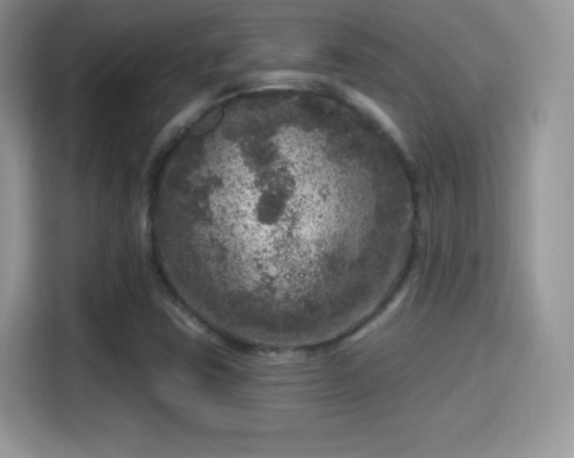 X0000116011403200911251111