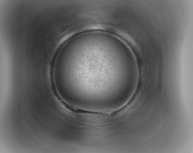 X0000116011404200911251111
