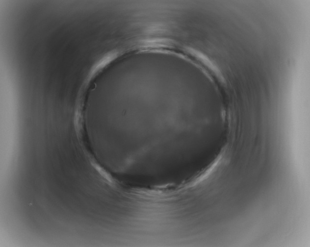 X0000116011405200911251111