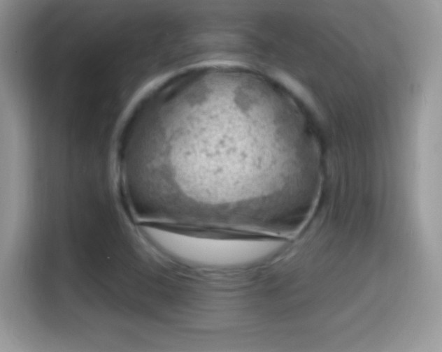 X0000116011408200911251111