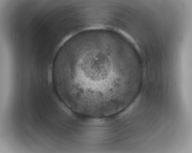 X0000116011409200911251111
