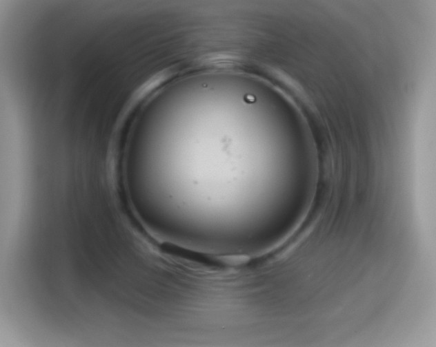 X0000116011410200911251111
