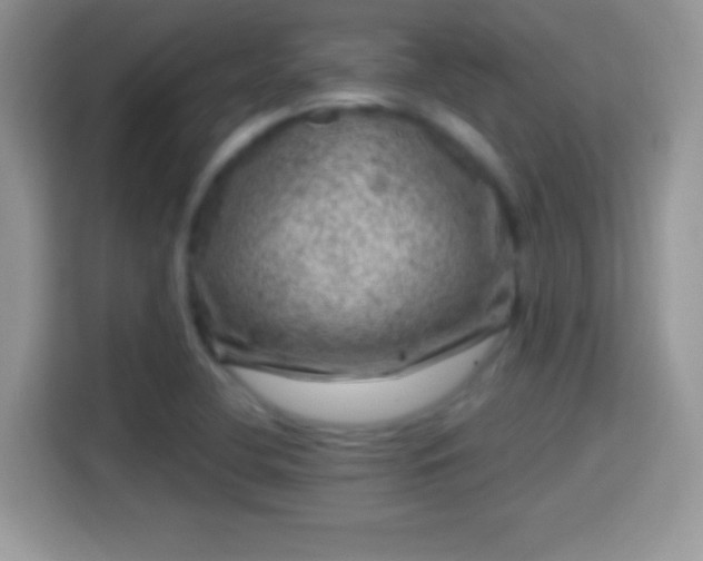 X0000116011412200911251111