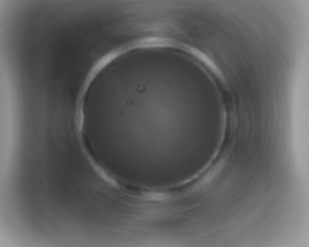 X0000116011413200911251111