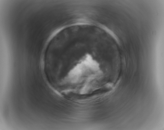 X0000116011415200911251111