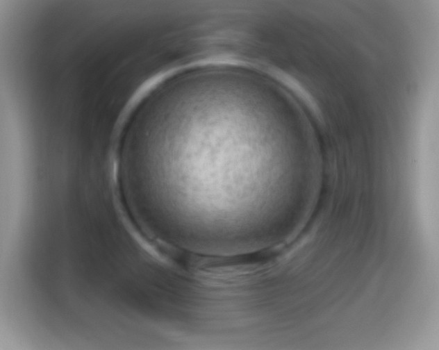 X0000116011416200911251111