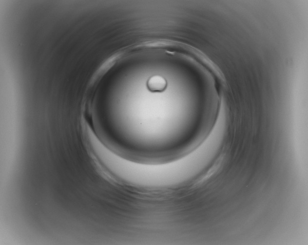 X0000116011417200911251111
