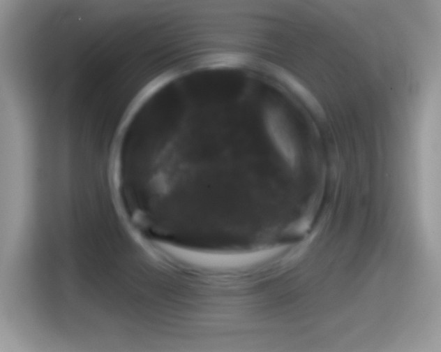 X0000116011418200911251111