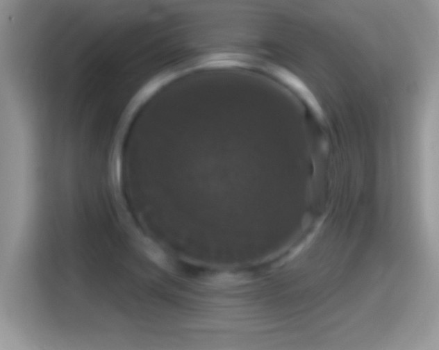 X0000116011419200911251111