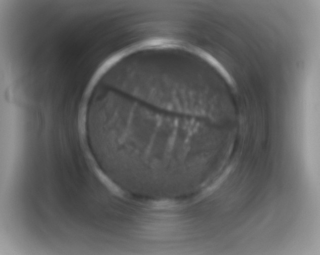 X0000116011421200911251111