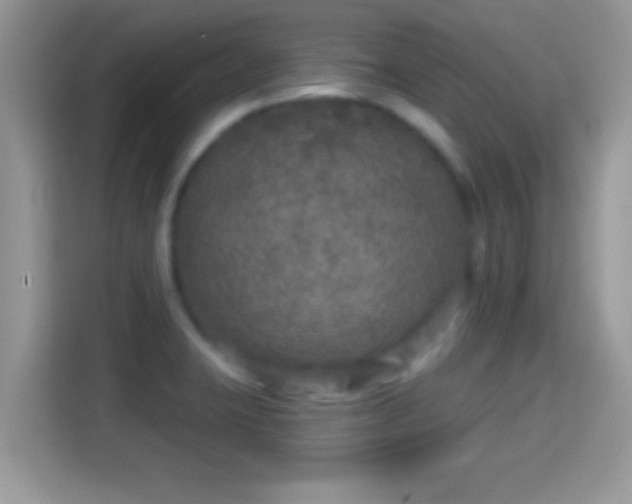 X0000116011423200911251111