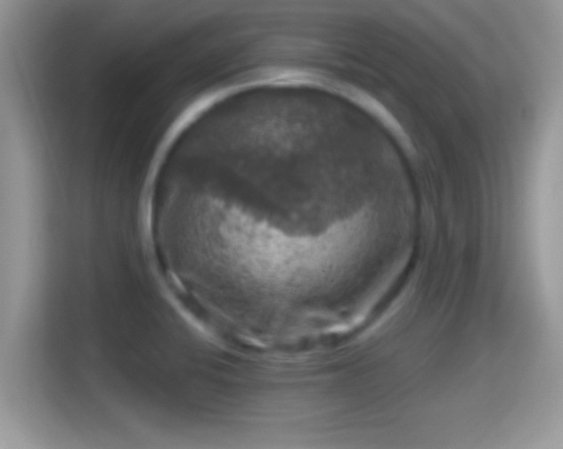 X0000116011424200911251111