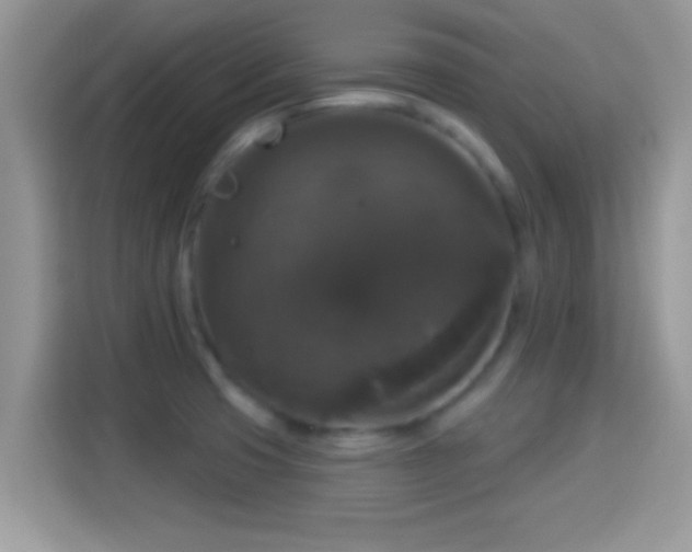 X0000116011425200911251111