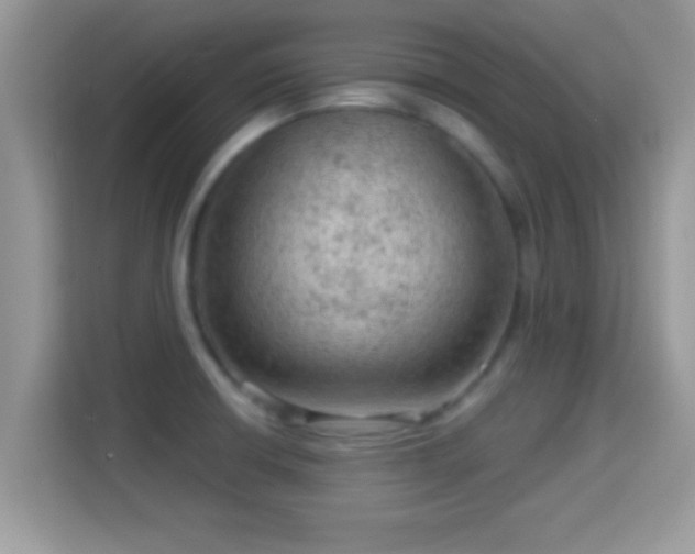 X0000116011426200911251111