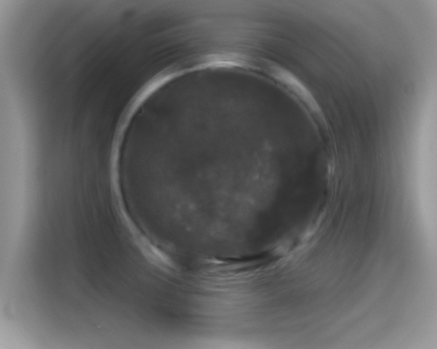 X0000116011427200911251111