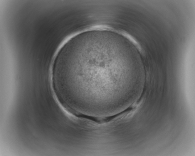 X0000116011430200911251111