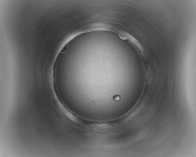 X0000116011431200911251111