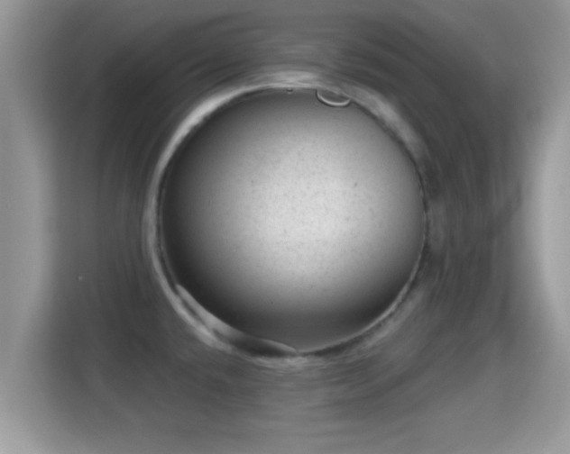 X0000116011432200911251111