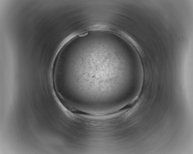 X0000116011434200911251111