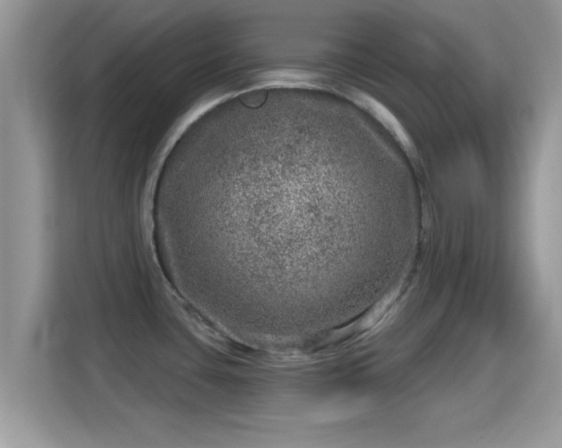 X0000116011435200911251111