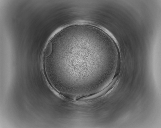 X0000116011437200911251111