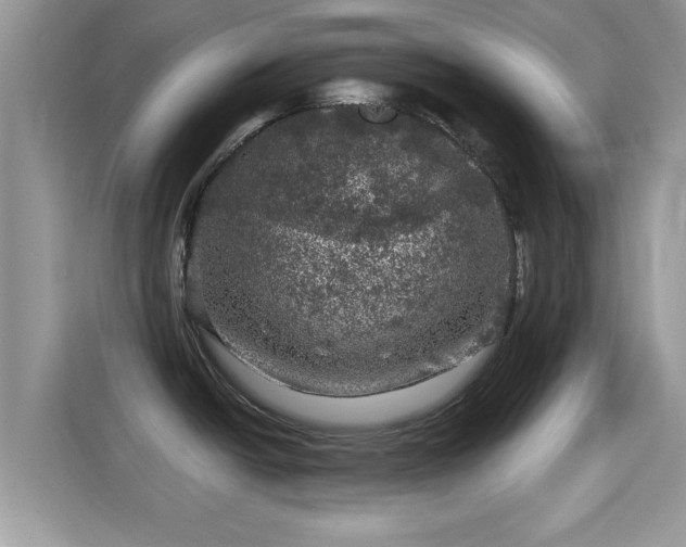 X0000116011438200911251111
