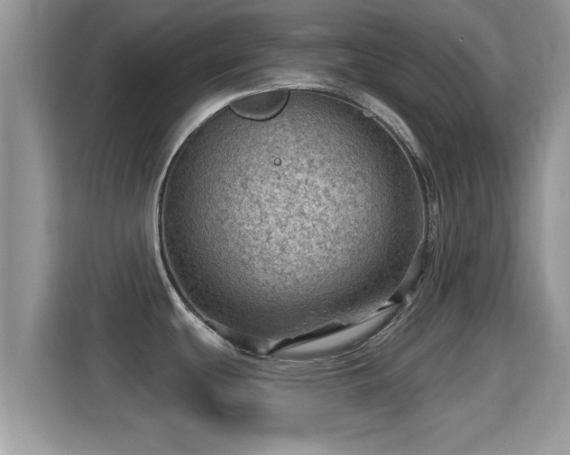 X0000116011439200911251111